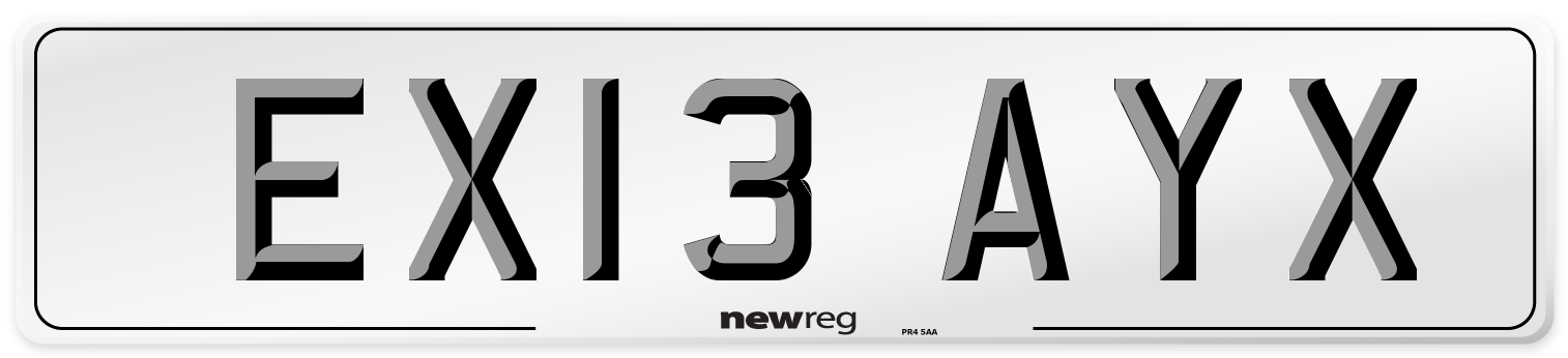 EX13 AYX Number Plate from New Reg